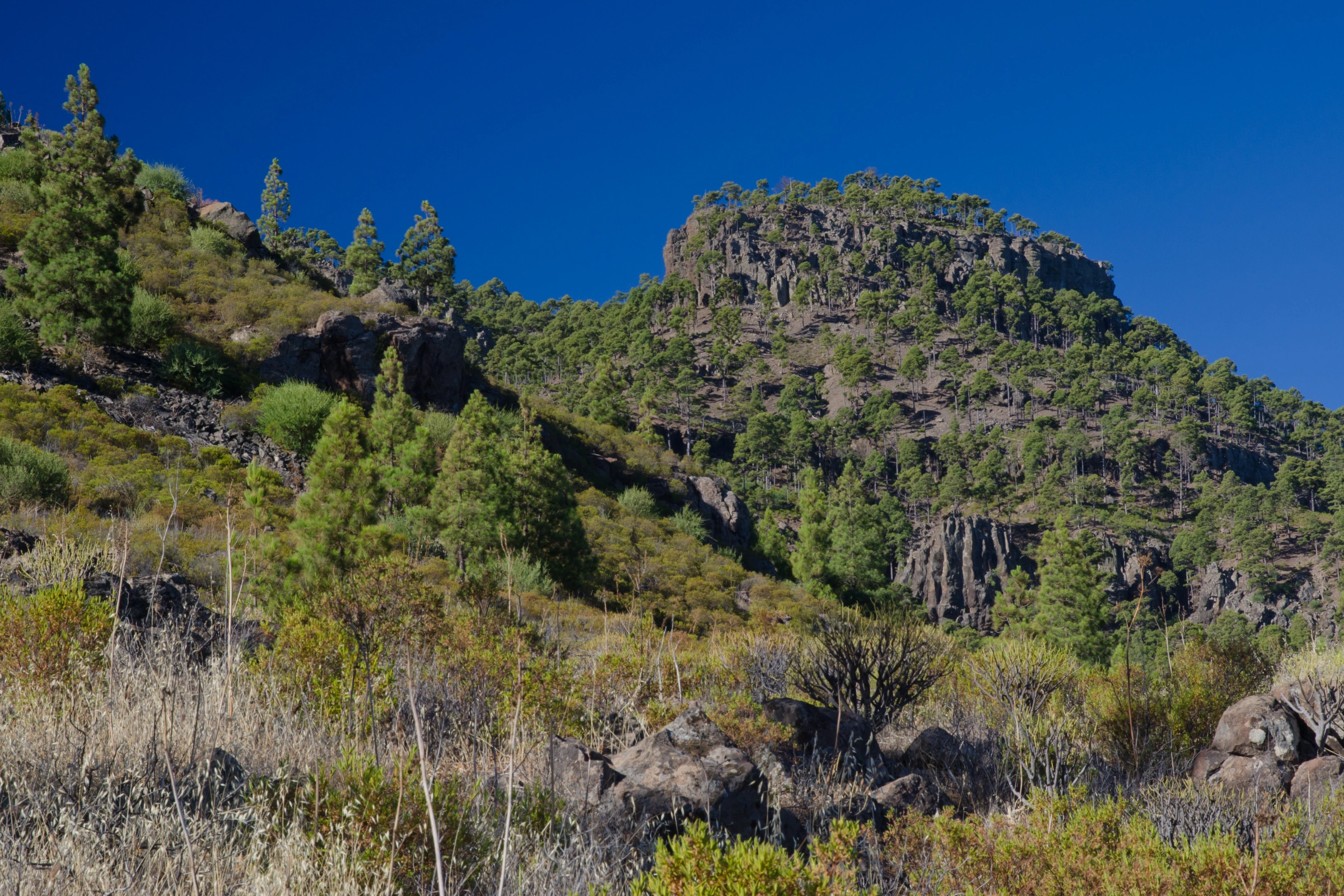 Inagua[1].webp